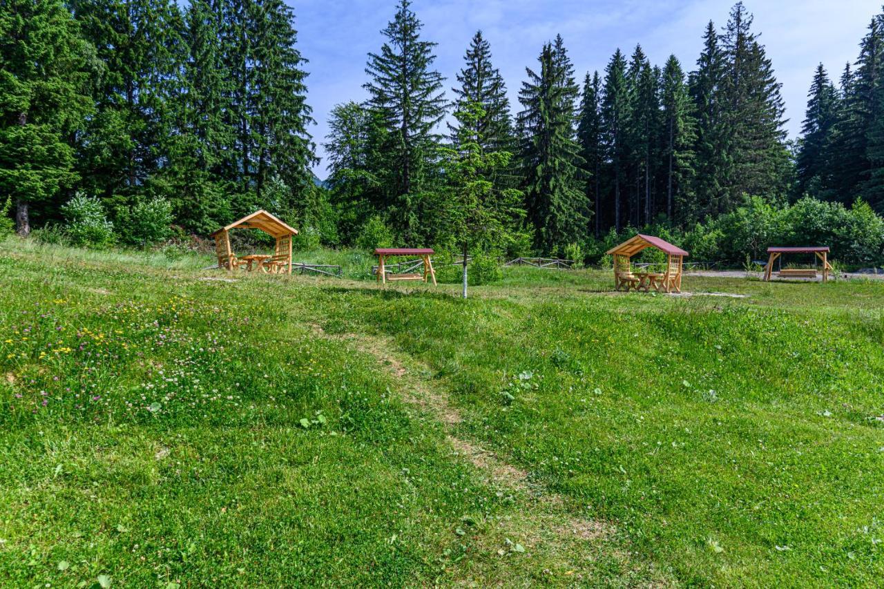 Pine Woods Studio D113 In Silver Mountain 포이아나브라소프 외부 사진